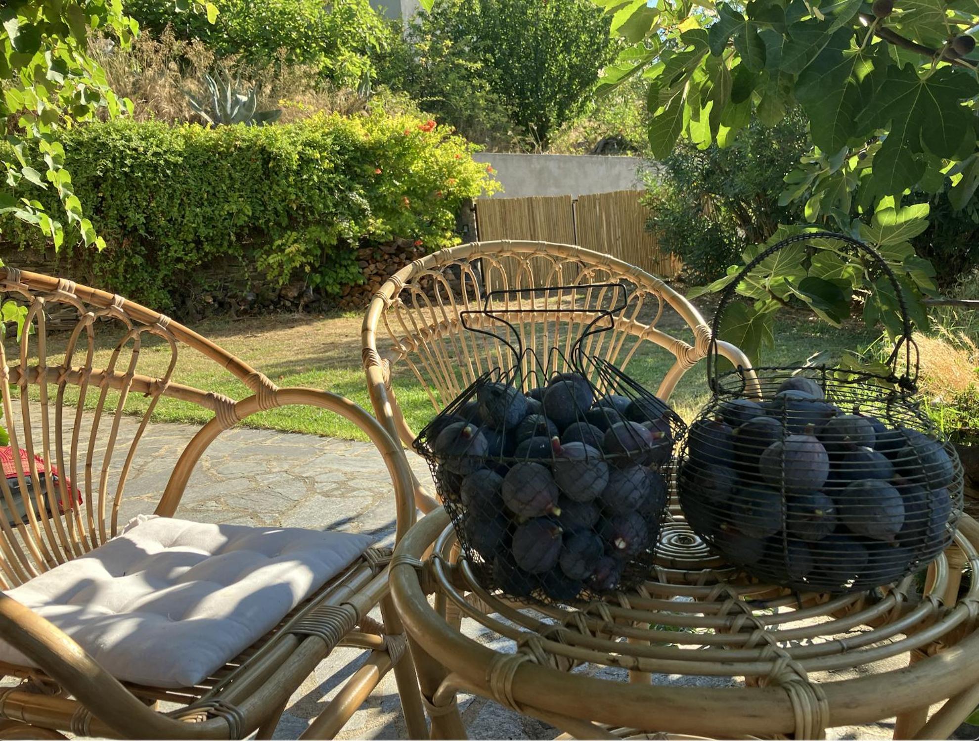 Maison De Charme Corse Sauvage Pietra-di-Verde Экстерьер фото