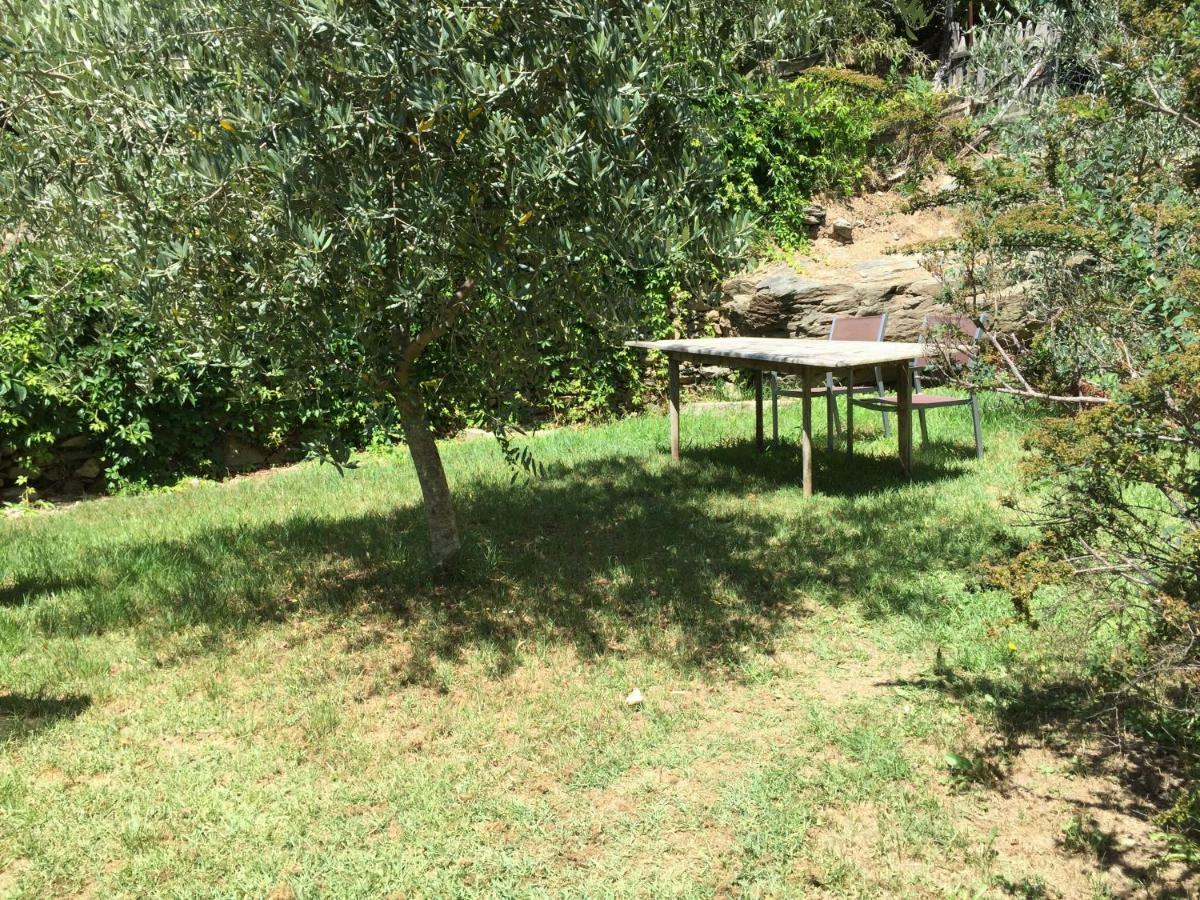 Maison De Charme Corse Sauvage Pietra-di-Verde Экстерьер фото